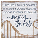 Life Roller Coaster 6"