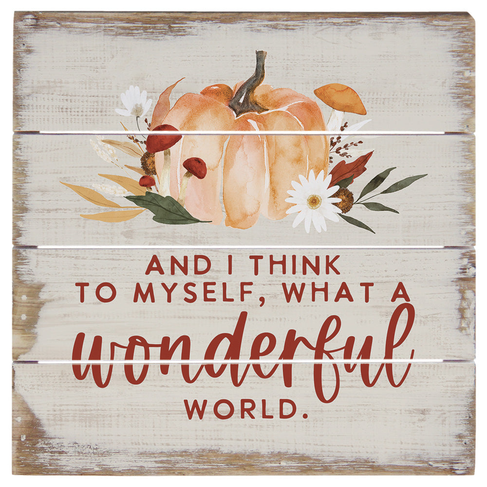 Wonderful World Pumpkin 6"