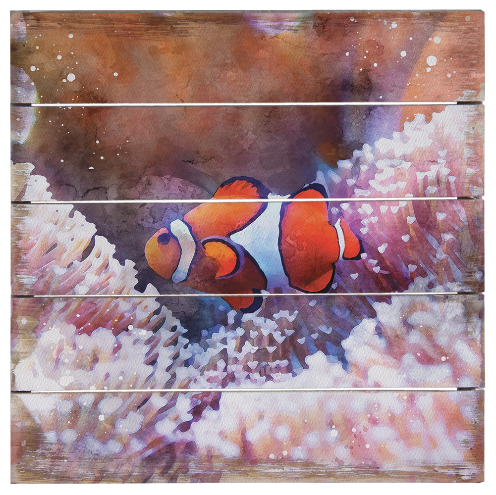 Clownfish Anemone - 8"