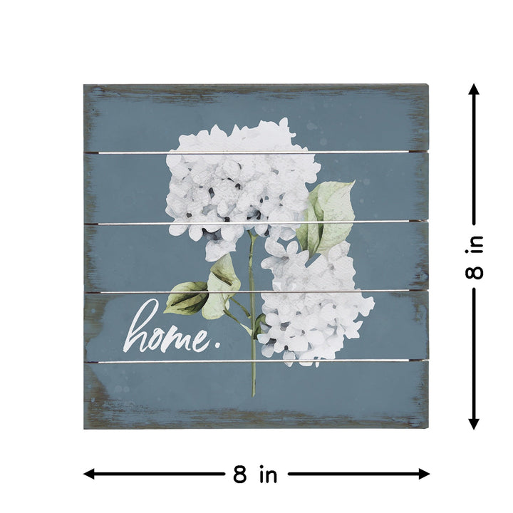 Home Hydrangeas