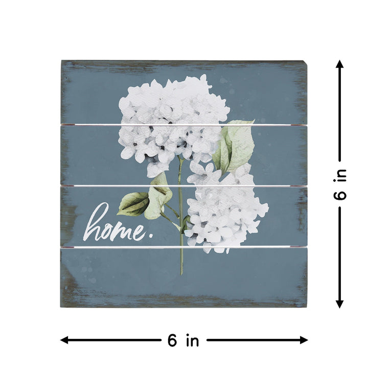 Home Hydrangeas