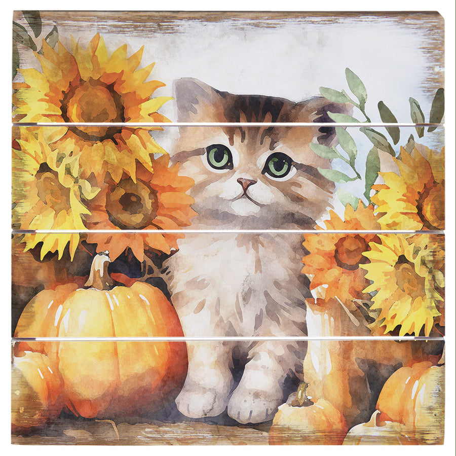 Kitten Pumpkins 6"