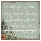 Luke 2:11 6"