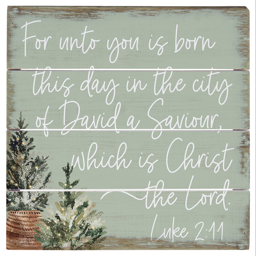 Luke 2:11 6"