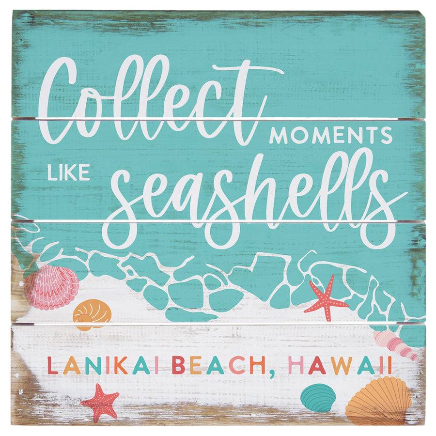 Collect Moments Shells LOC - 6"