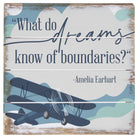 What Do Dreams Plane 6"