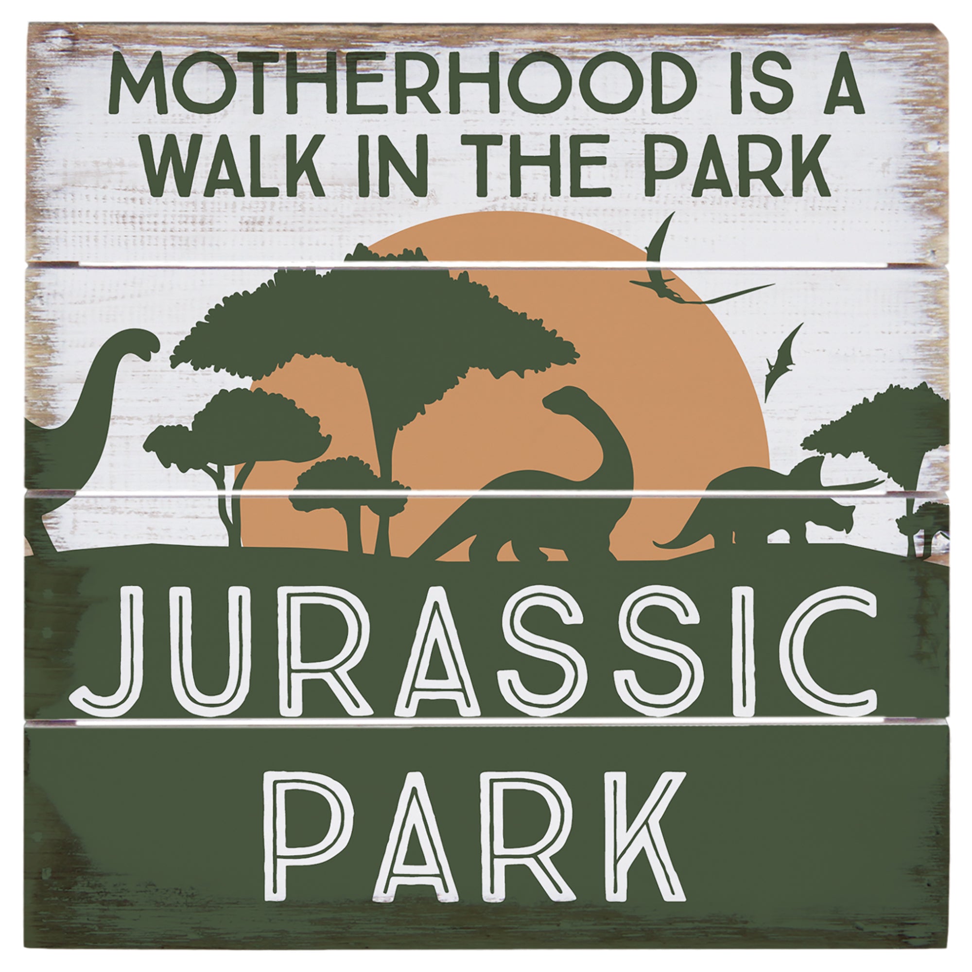 Walk In Jurassic Park 6"