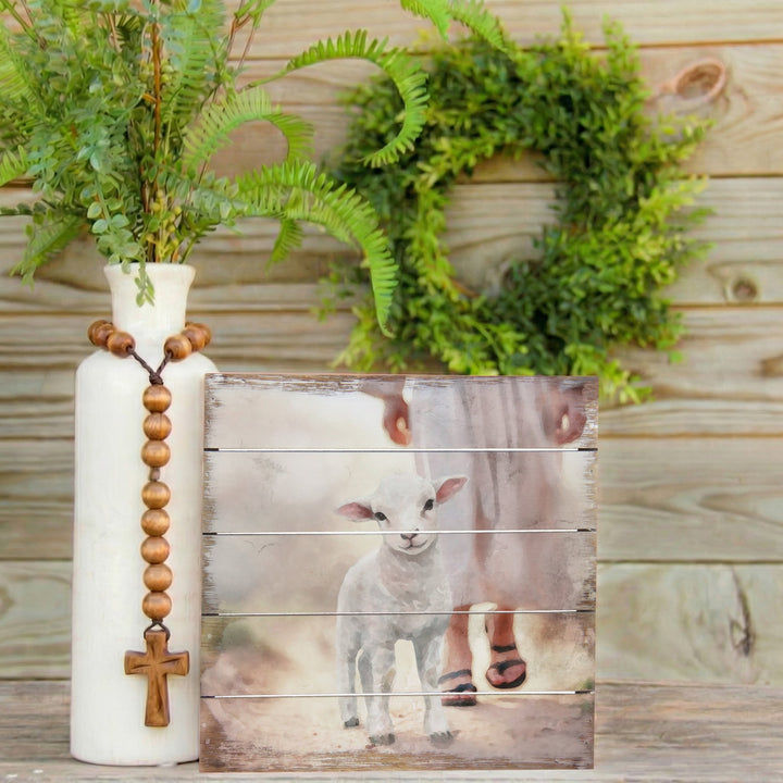 Lamb Walking On Path