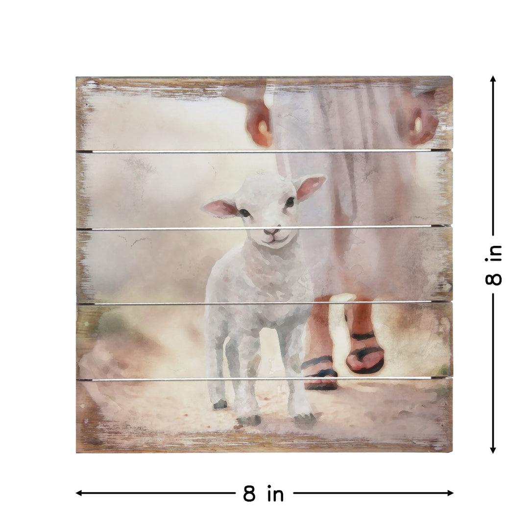 Lamb Walking On Path