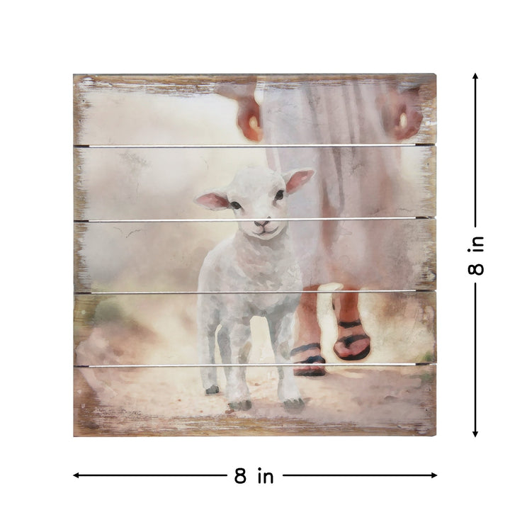 Lamb Walking On Path