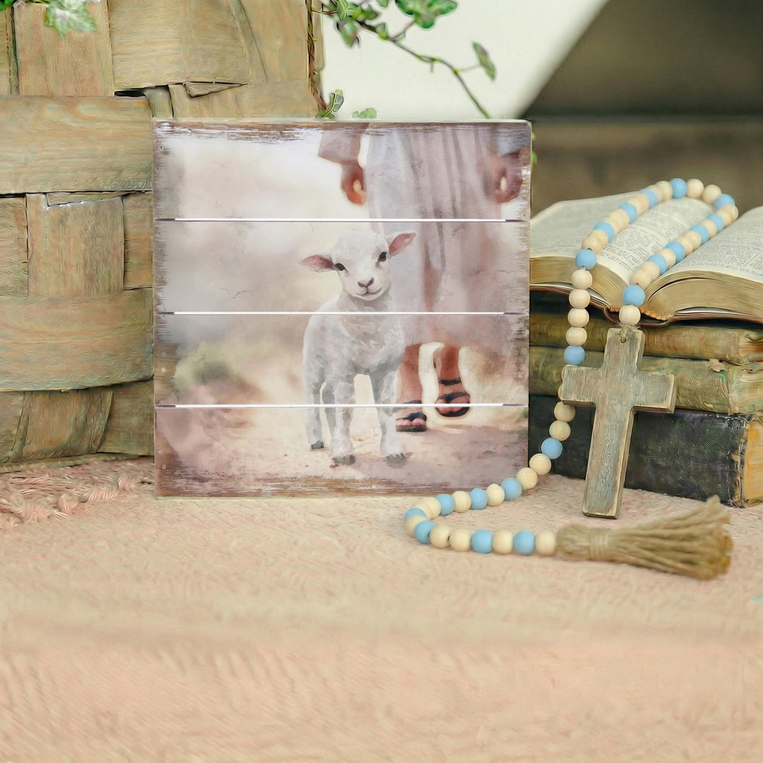 Lamb Walking On Path