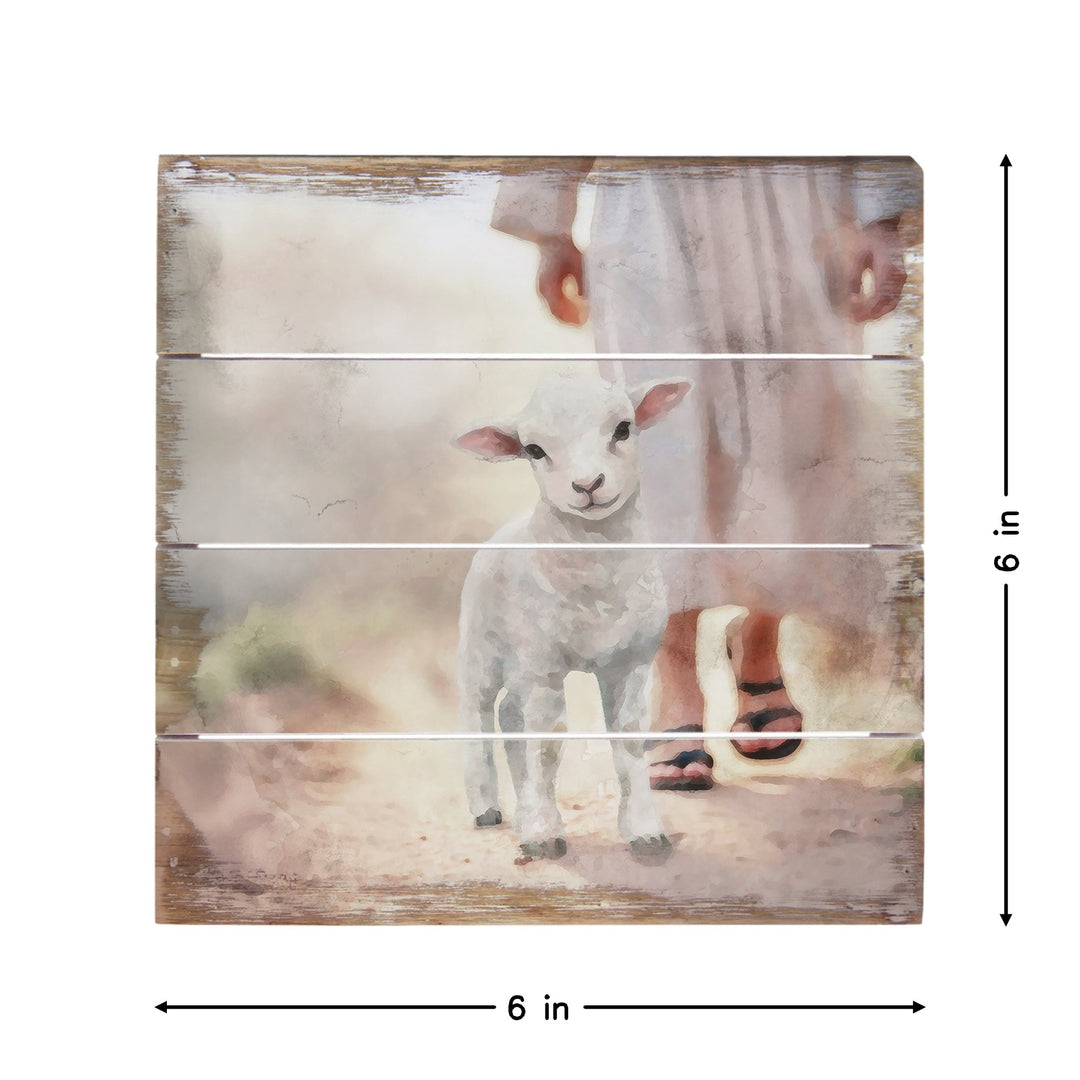 Lamb Walking On Path