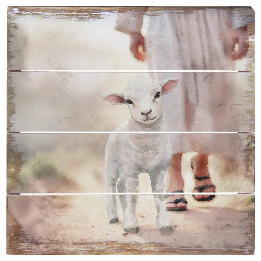 Lamb Walking On Path 6"