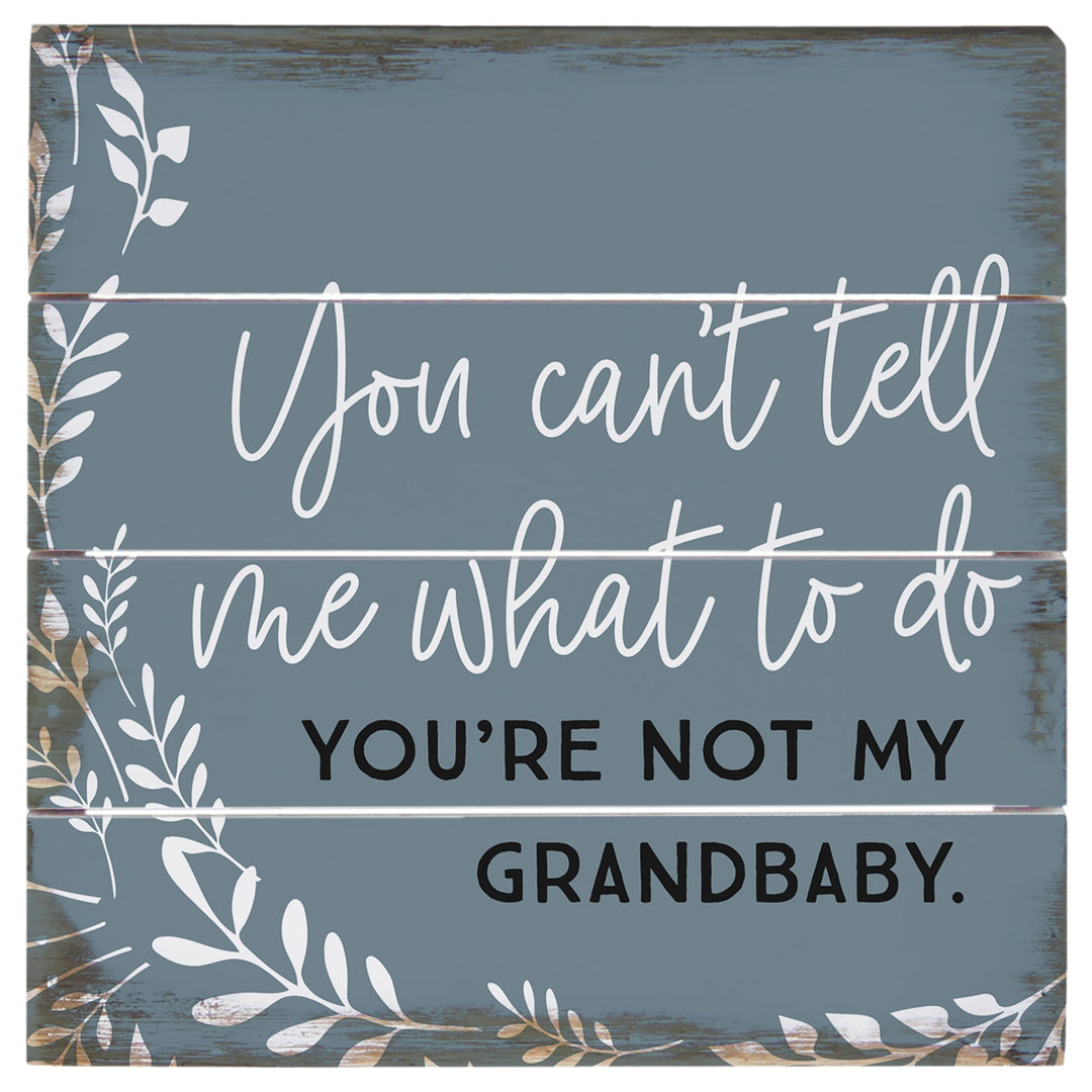 Not My Grandbaby 6"