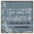 Not My Grandbaby 6"