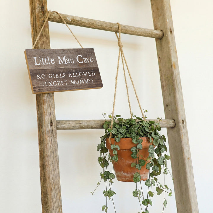 Little Man Cave