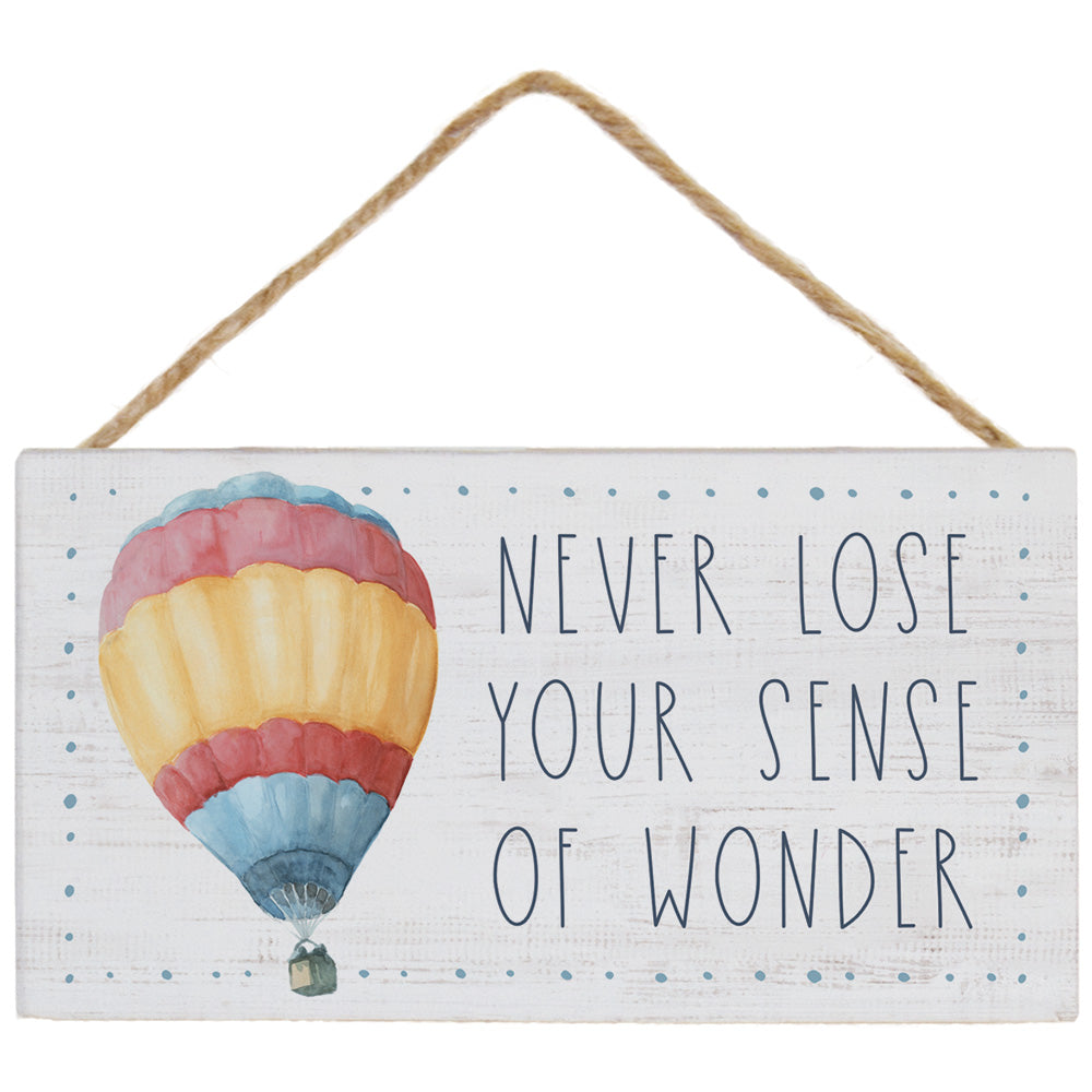 Sense Wonder Balloon