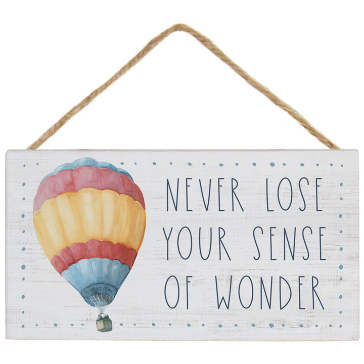 Sense Wonder Balloon