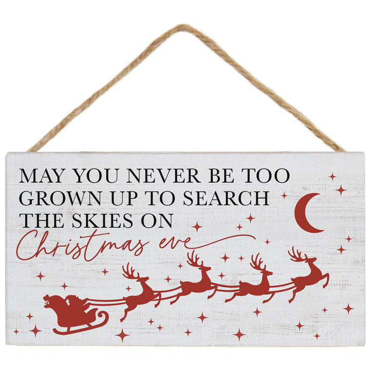 Search The Skies Santa