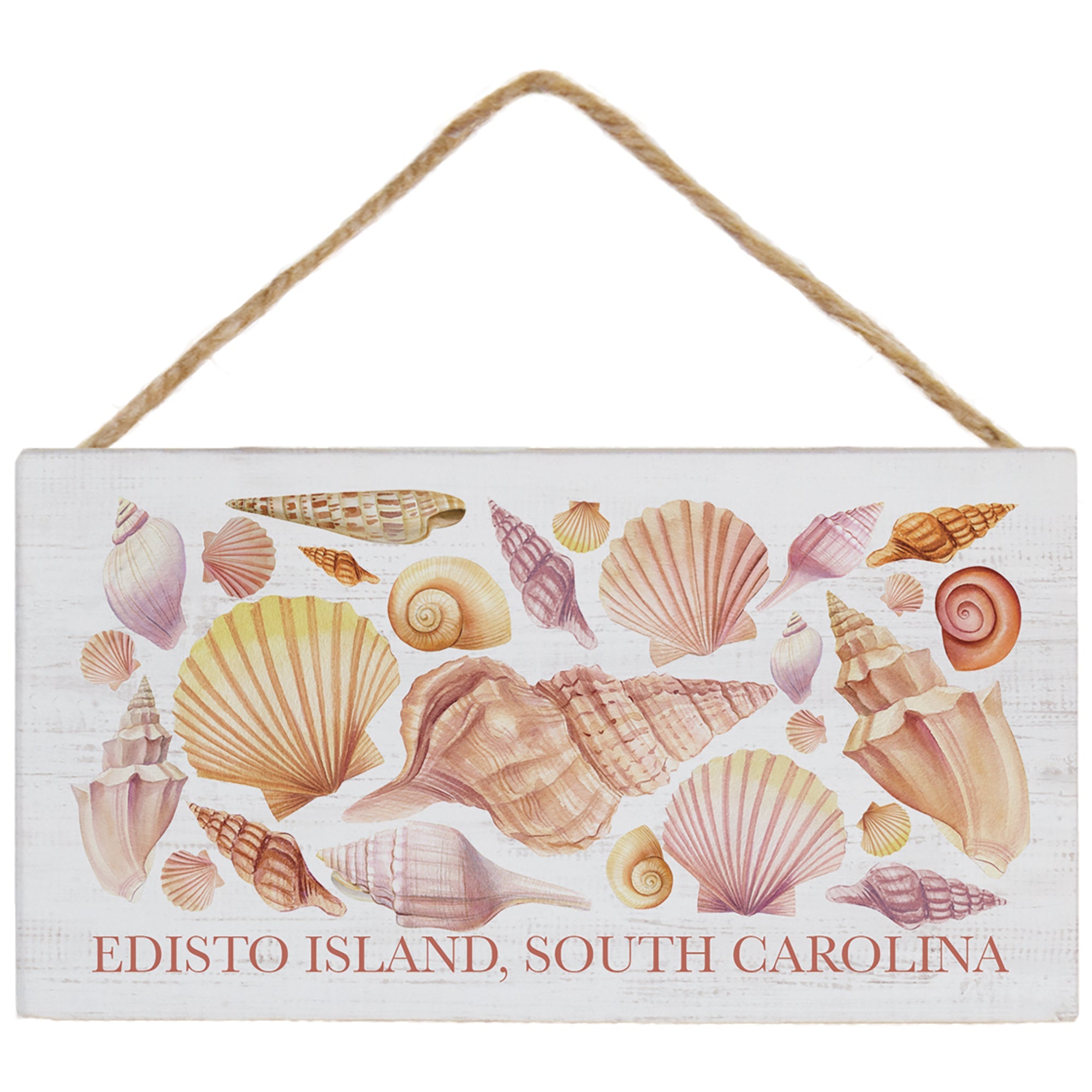 Seashell Collage LOC