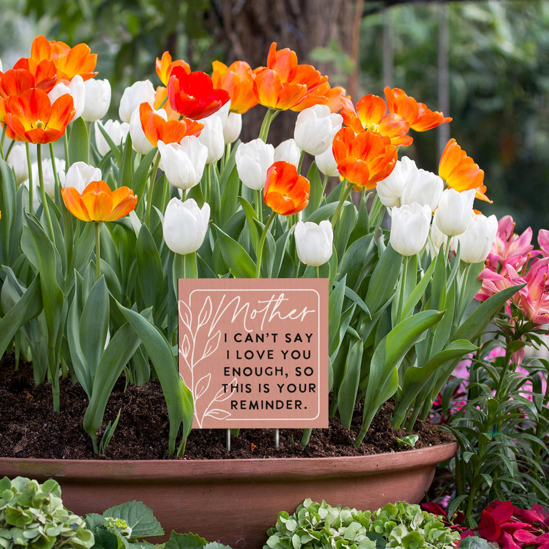 Mother I Can't Say PER