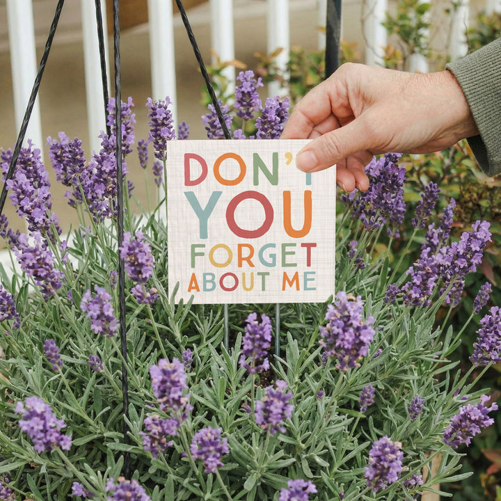 Don't Forget Me