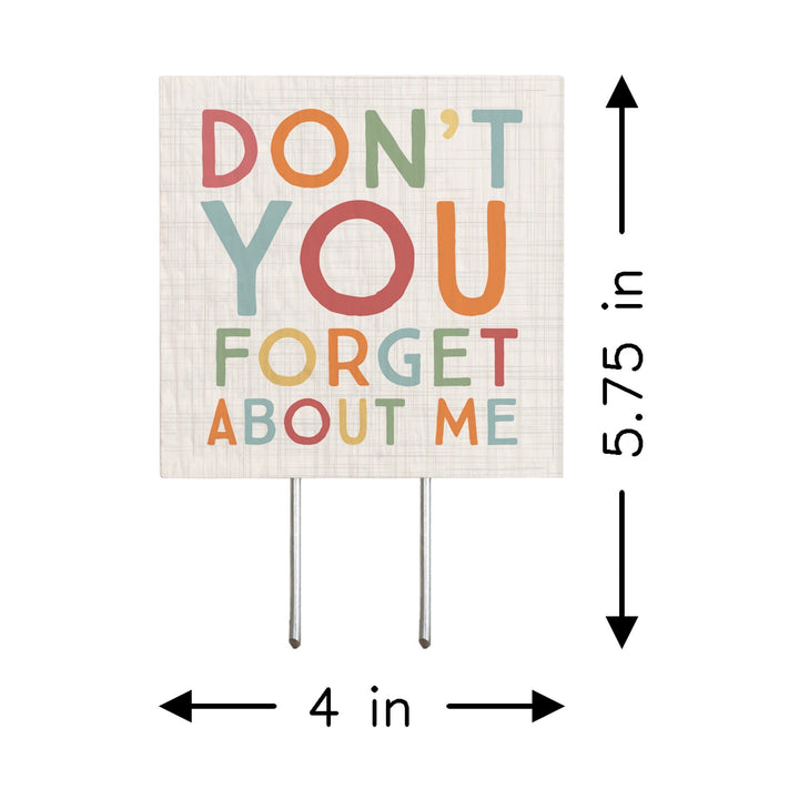 Don't Forget Me
