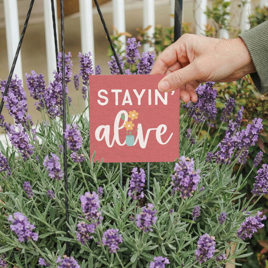 Stayin' Alive Pink
