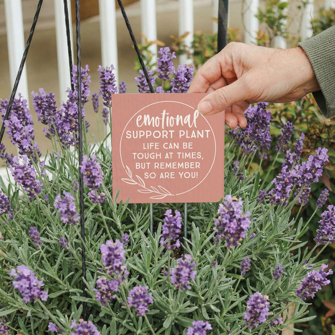 Emotional Support Plant