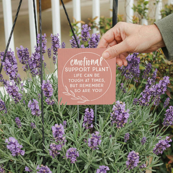 Emotional Support Plant
