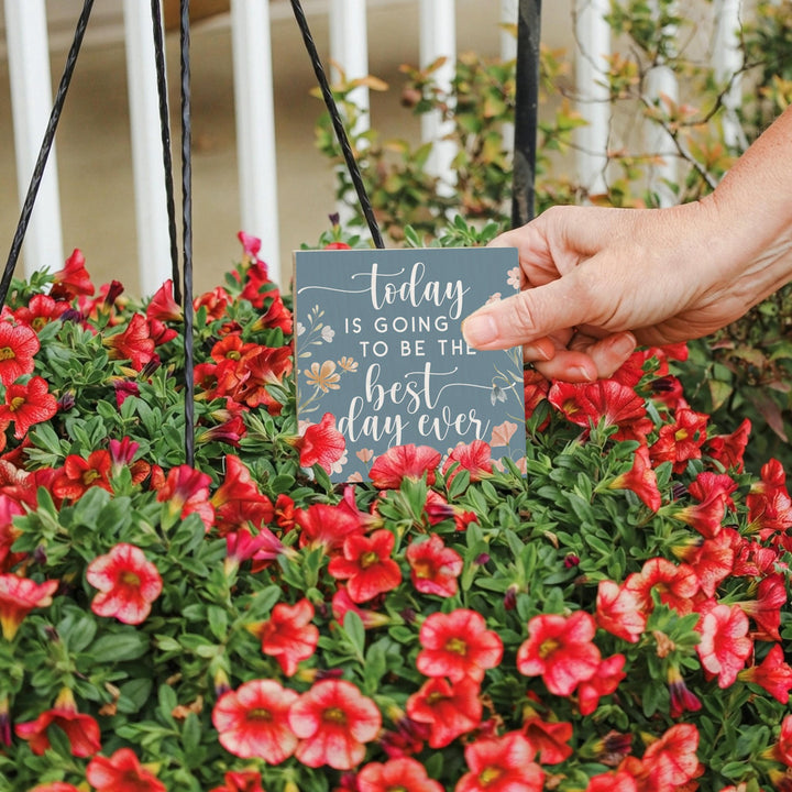Best Day Ever Flowers