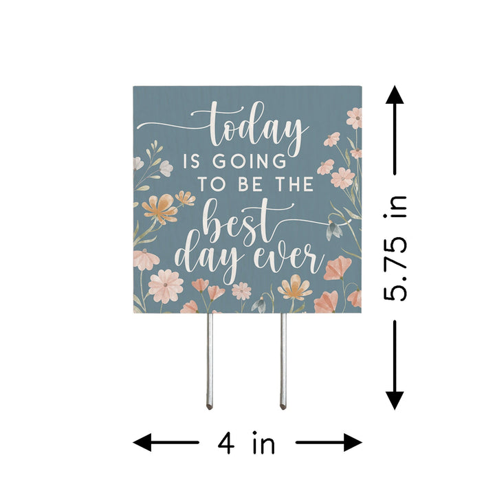 Best Day Ever Flowers