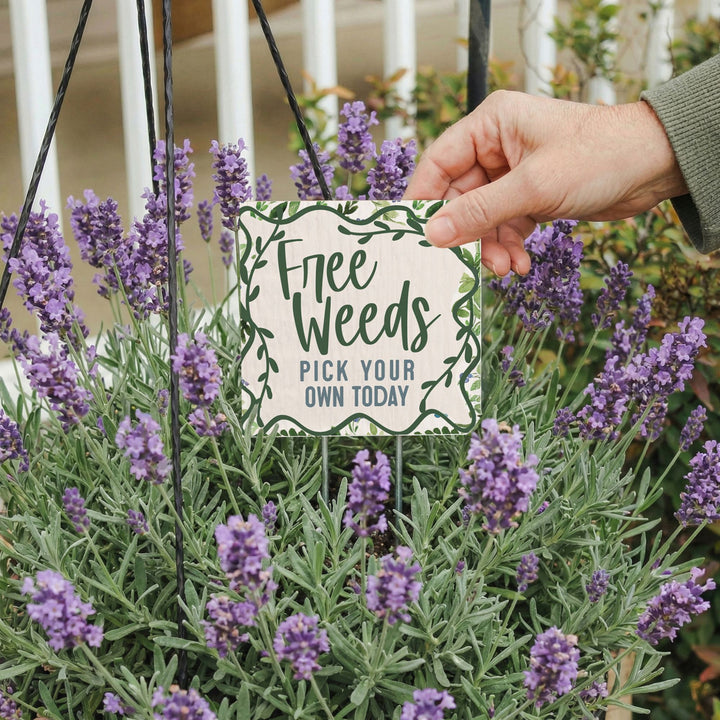 Free Weeds Pick