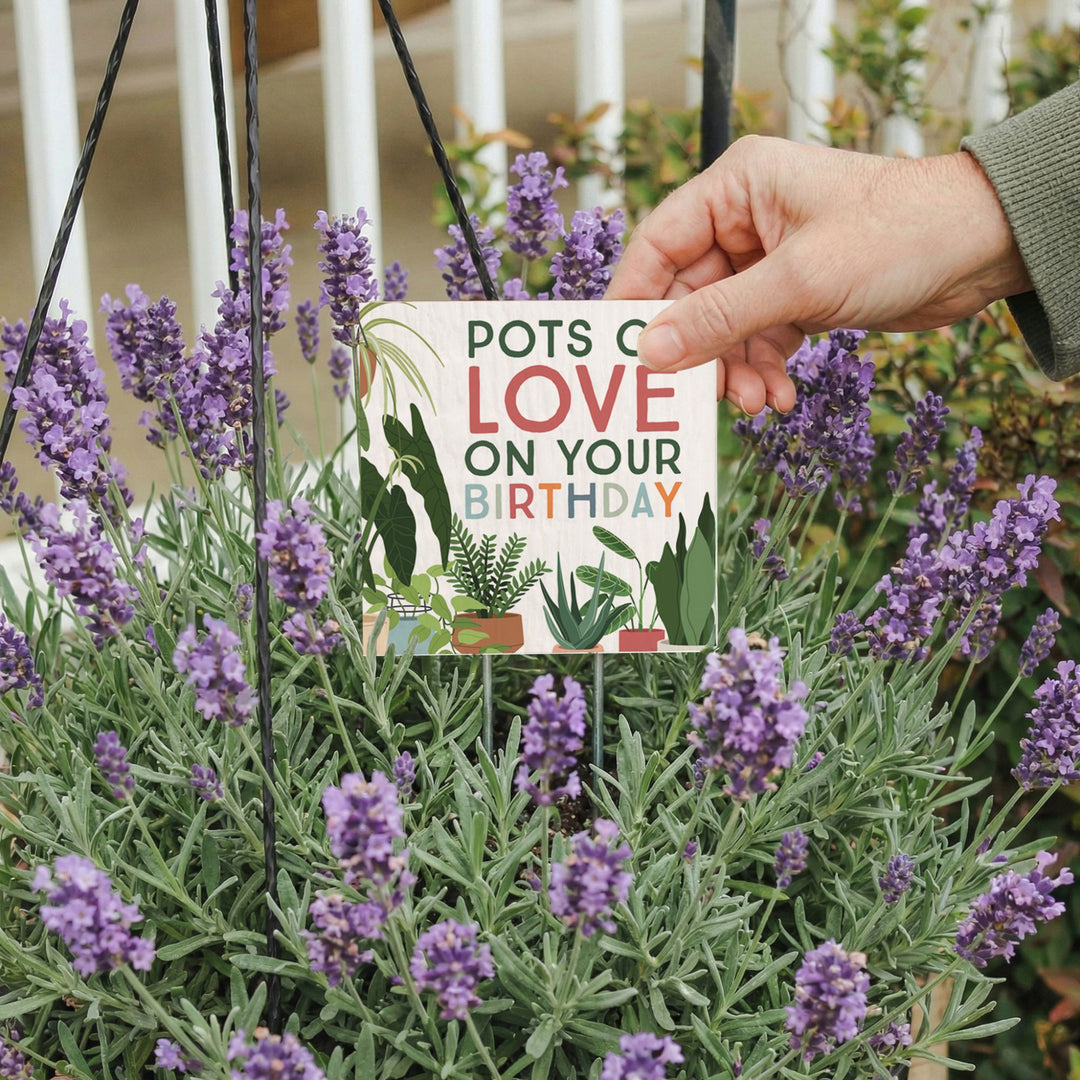 Pots Of Love