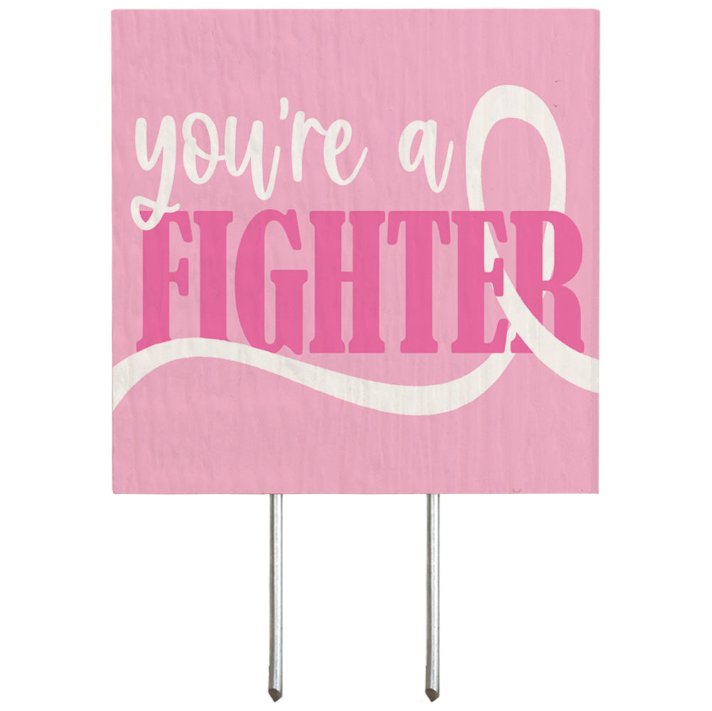 You're A Fighter CLR