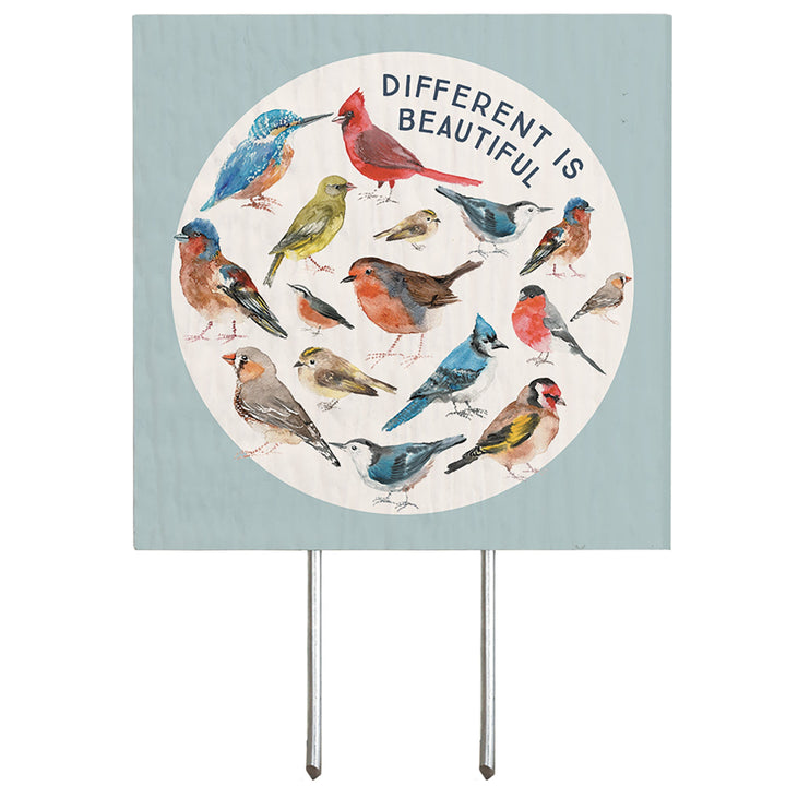 Different Beautiful Birds