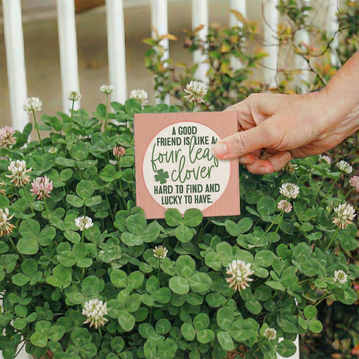 Good Friend Clover