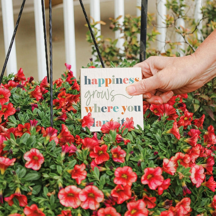 Happiness Grows Colorful