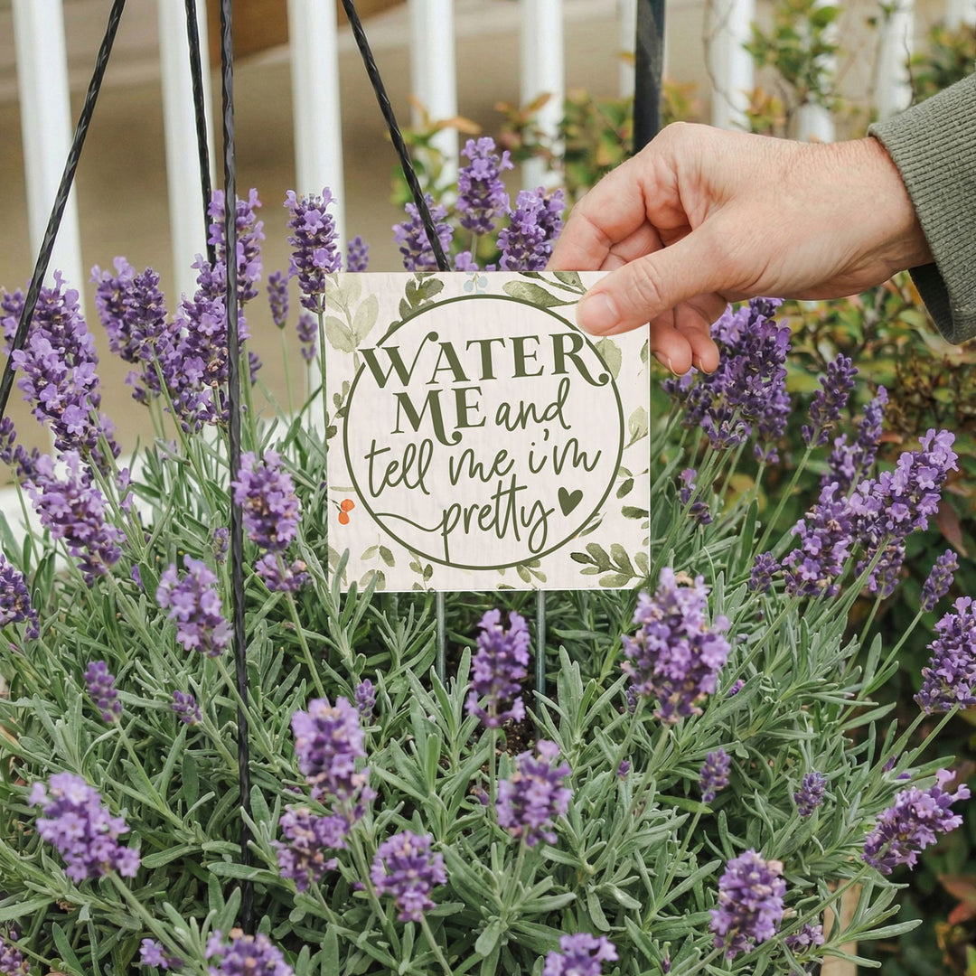 Water Me Pretty