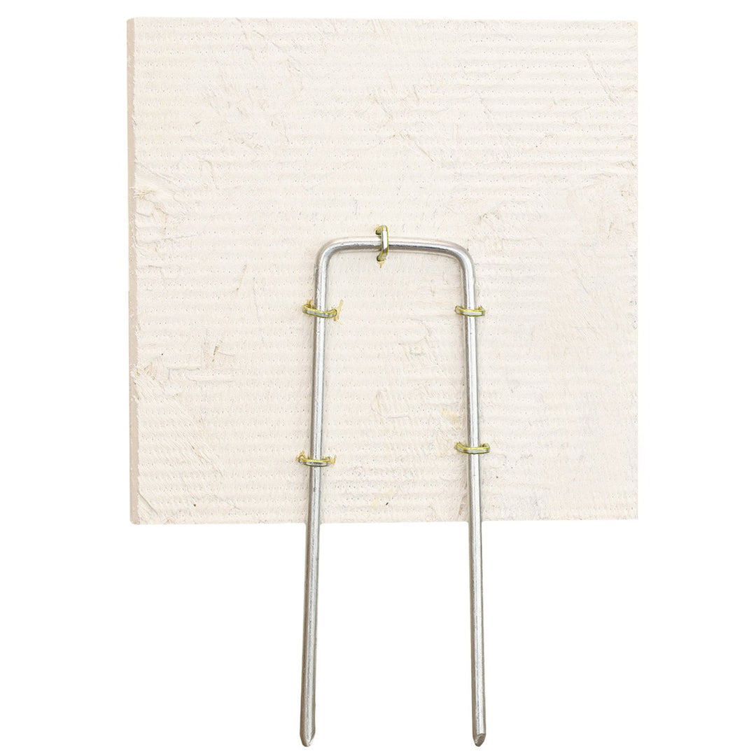 Long Time Old Friend