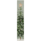 Evergreen Tree Star