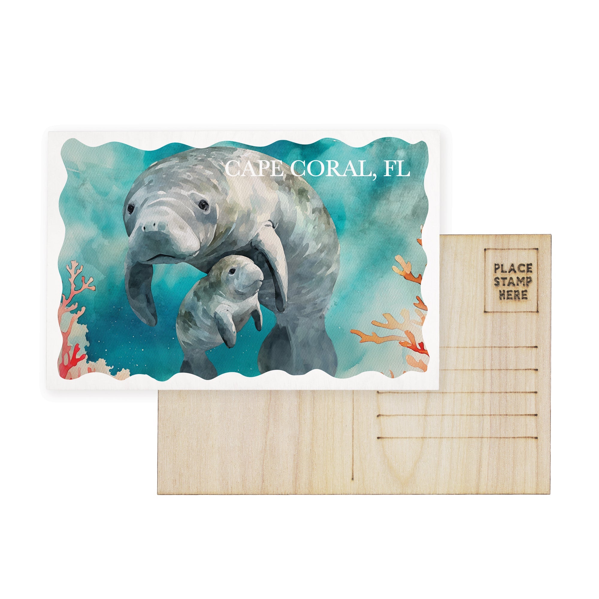 Manatees Scene LOC