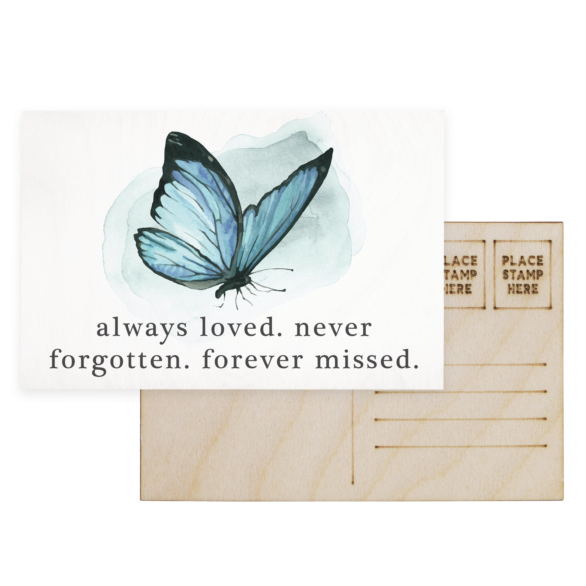 Always Loved Butterfly 