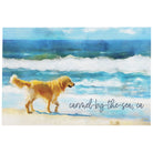 Dog Beach Scene LOC