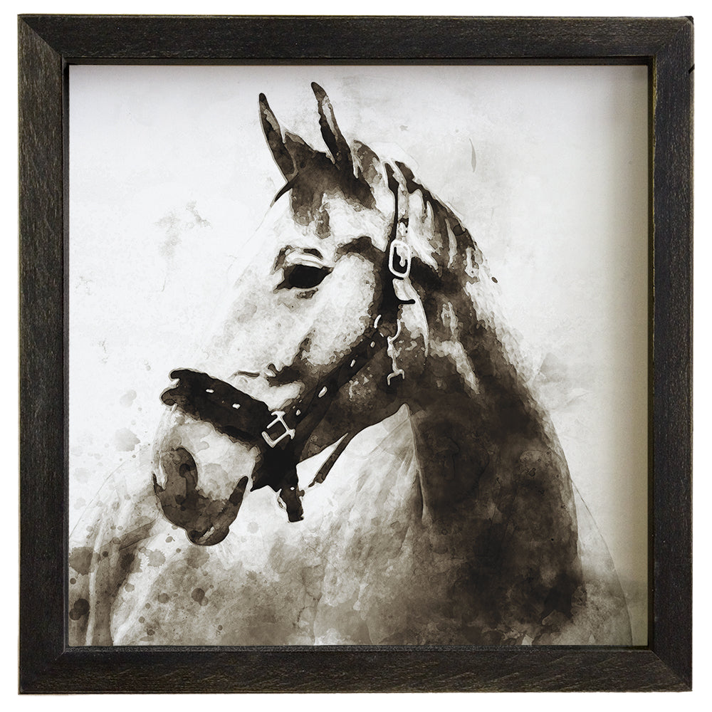 B&W Watercolor Horse