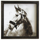 B&W Watercolor Horse