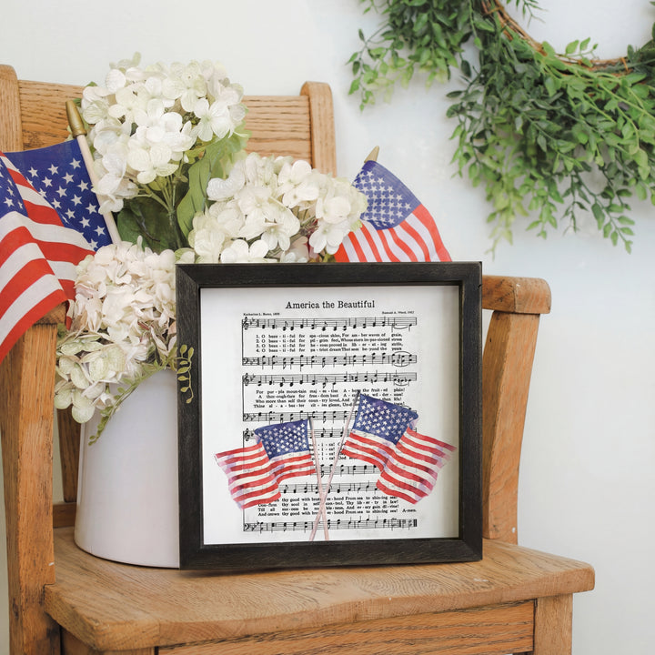 America The Beautiful