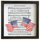 America The Beautiful