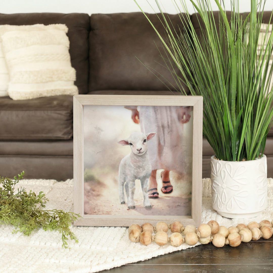 Lamb Walking On Path