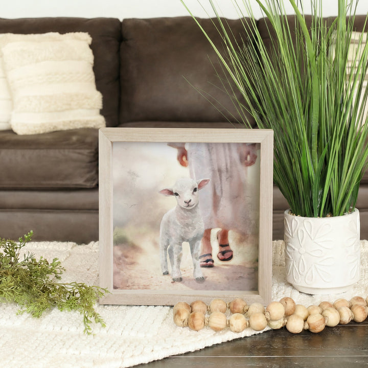 Lamb Walking On Path
